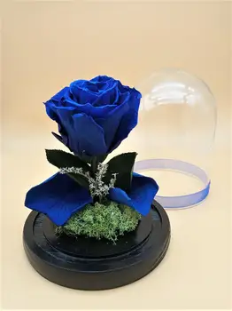 Smukke Kuppel og dyr med blå bevaret Evige Rose. Fri fragt. Blå Evige Rose bevaret. Lavet i Spanien.
